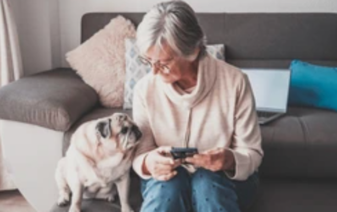 A woman sitting on a sofa with her pug, using the MAAP app on her phone.